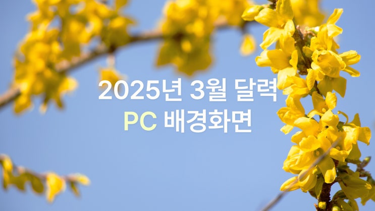  2025년 3월 달력 PC UHD 4K 봄느낌 배경화면 6종