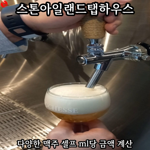 제주 연동 맛집 수제 맥주 추천 스톤아일랜드탭하우스