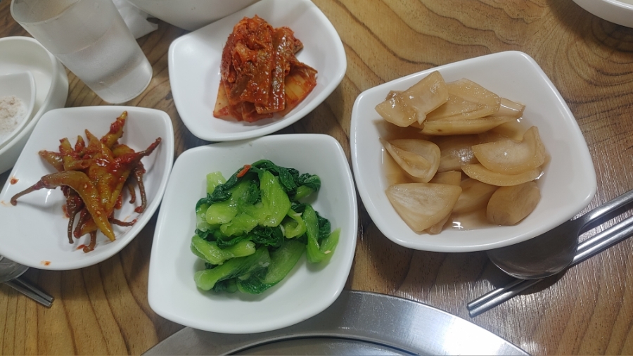 왕꽃돈 사진 3