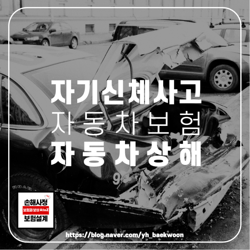 자동차보험 자손 자상, 사고 시 보상 차이는?