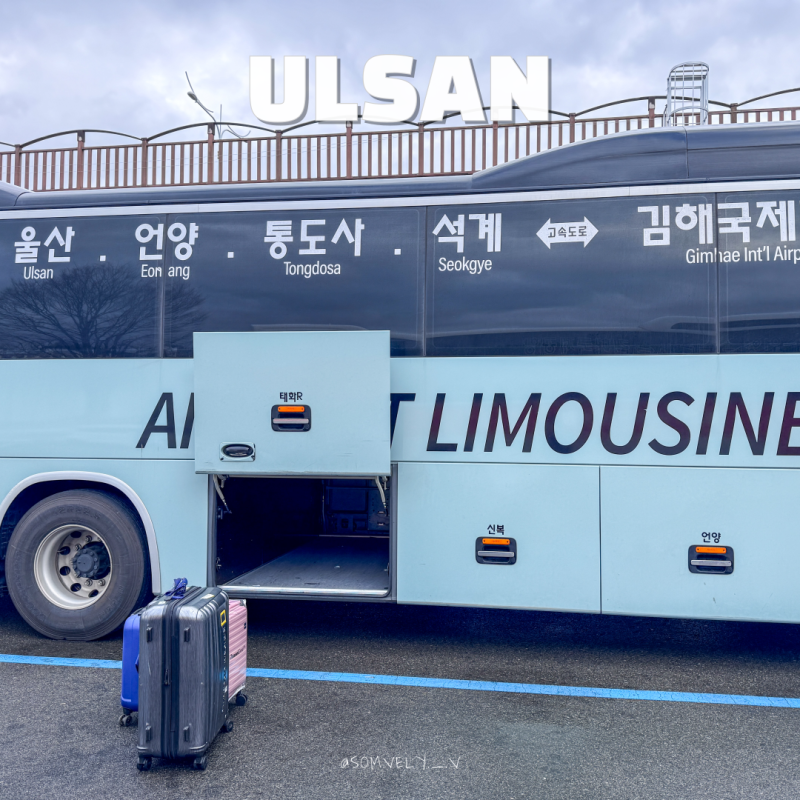 울산 김해공항 리무진 버스 시간표 타는곳 요금