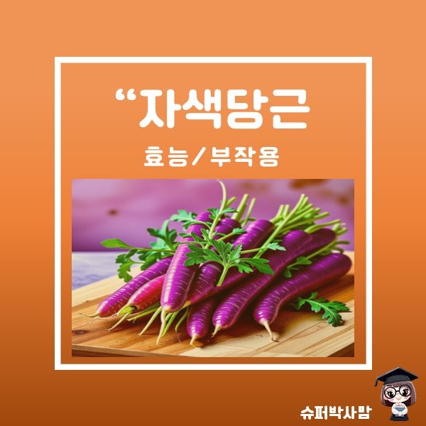 자색당근 효능 영양성분 부작용