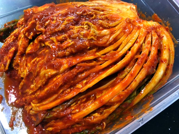  실비김치 택배 매운김치 노빡실비김치 내돈내산 후기
