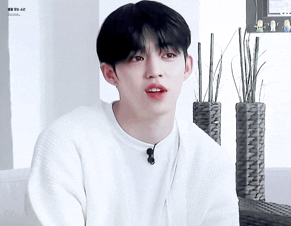 [SEVENTEEN 附身文] 14個兄弟姊妹的生活 00. 介紹我的家人!!