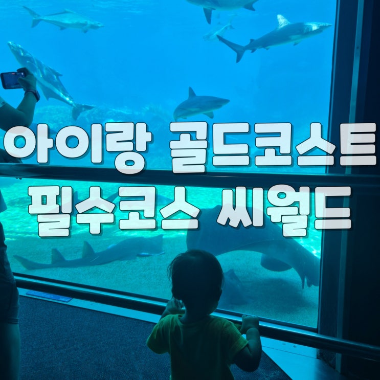 아이랑 호주 자유여행 골드코스트 필수코스 씨월드 (ft. 할인쿠폰 포함)