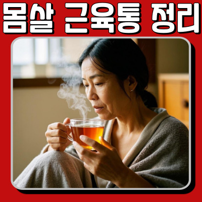 몸살 근육통 완벽 정리! 원인부터 빠른 회복 법까지
