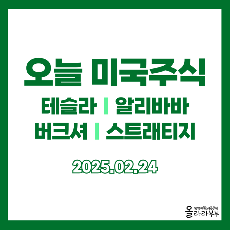 2월 24일 미국주식 시황 테슬라 알리바바 버크셔해서웨이 스트래티지