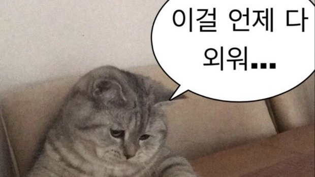  늦었지만 올리는 ADsP 44회 후기|벼락 안쳤는데도 내 점수에 벼락이..|시험공부 한달 하루기준 3-4시간 후기|어림없음
