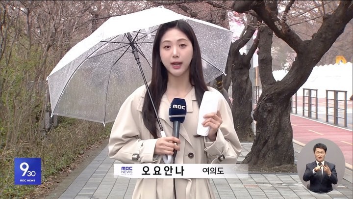 故 오요안나 근태 보고서 유출 2차 가해...결근 전부 직장 내 괴롭힘 정신과 상담 이후였다 故 오요안나 근태 보고서 유출 2차 가해...결근 전부 직장 내 괴롭힘 정신과 상담 이후였다