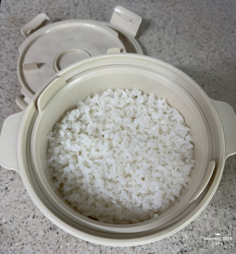 칼로볼 저칼로리밥 레시피 파스타 야채찜 한달 솔직후기