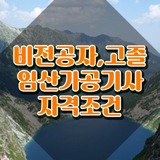  임산가공기사 응시조건 온라인 과정으로 빠르게 성공한 비법