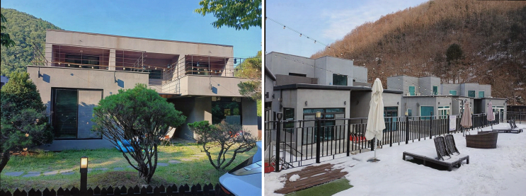  가족과 즐기는 애견 동반 여행, 따뜻한 남이섬 설리조트