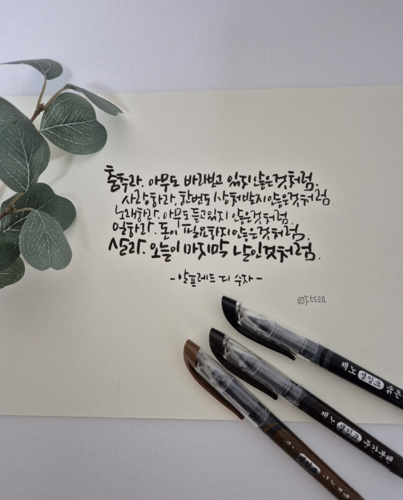 다이소 붓펜 리뷰(2)