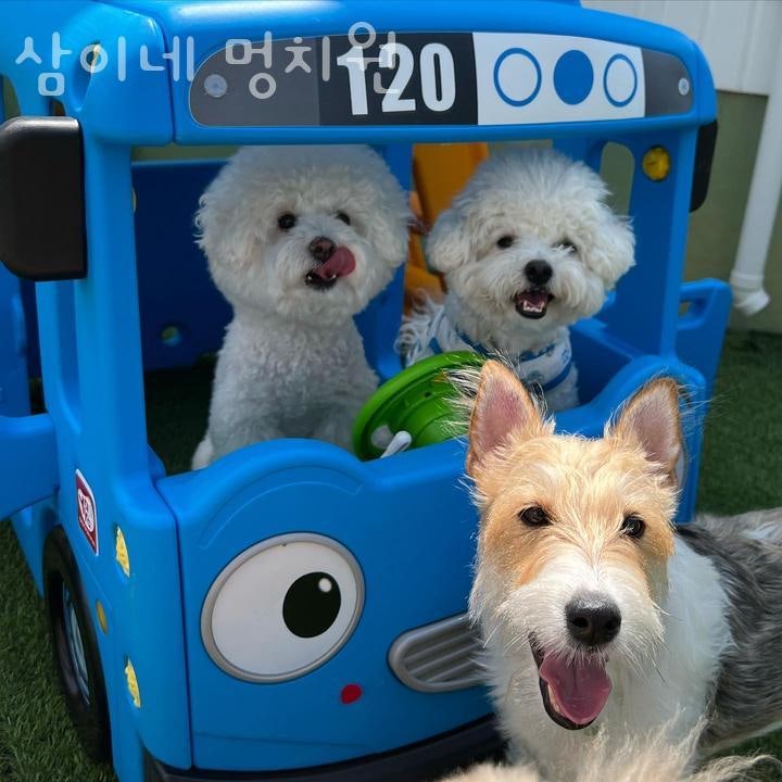 사진 3