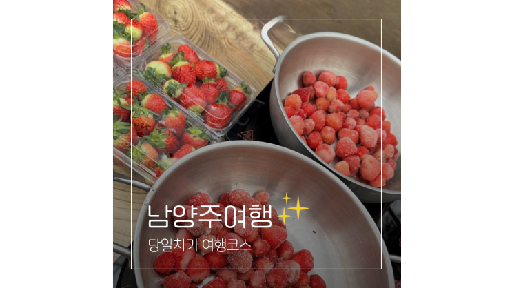 남양주 딸기체험부터 카페까지 놀거리 실내 아이와 가볼만한곳 남양주 딸기체험부터 카페까지 놀거리 실내 아이와 가볼만한곳