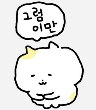  [코이카NGO봉사단] 15. 일반봉사단 vs NGO봉사단