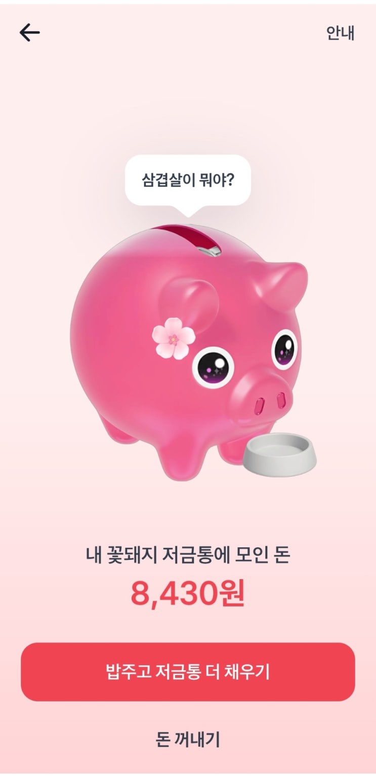  토스 이벤트 꽃돼지 밥주기 링크 공유해요 :D