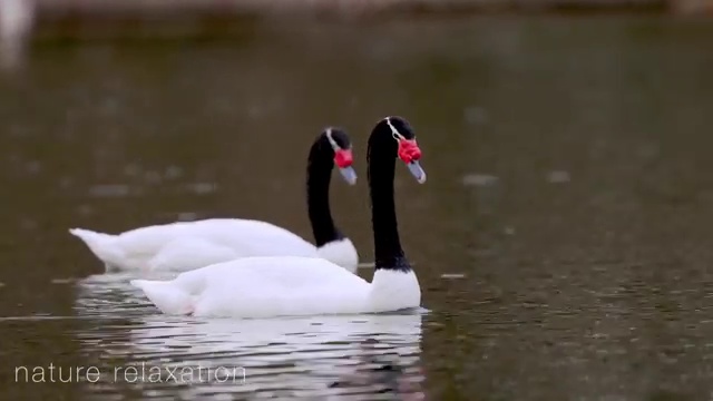  통신사 변경 , 사은품 제일 좋은 상품으로 추천해드려요