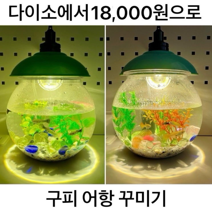 둥이1호 아빠와의 겨울특훈 구피 어항 다이소 청룡각 이마트 산책 Walking / 슬쌍디아빠 이동섭
