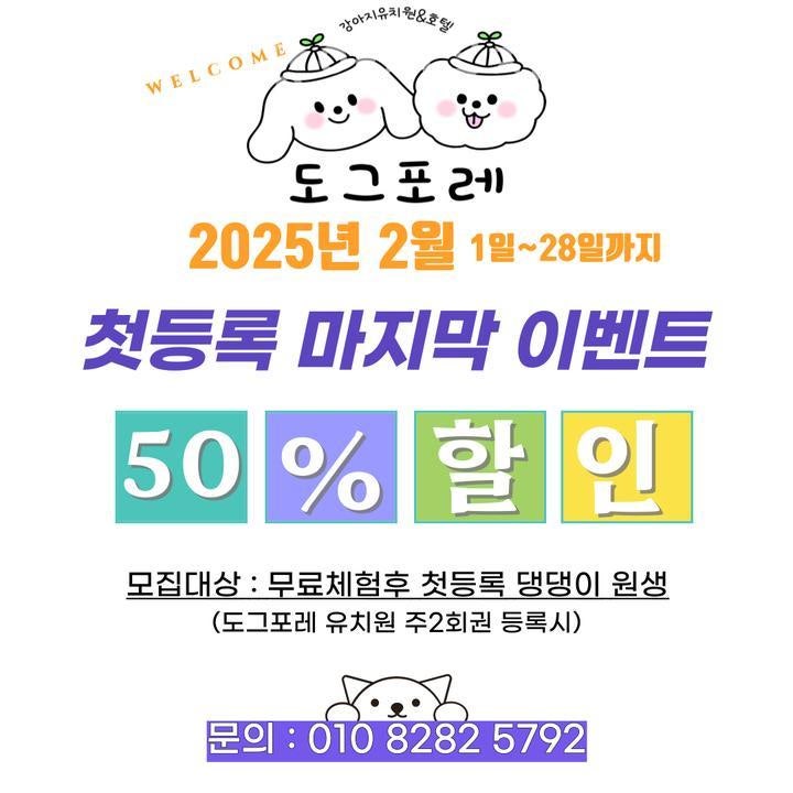 사진 2