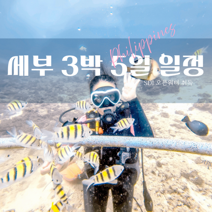  세부 여행 3박 5일 다이빙 자격증 취득 일정 총정리