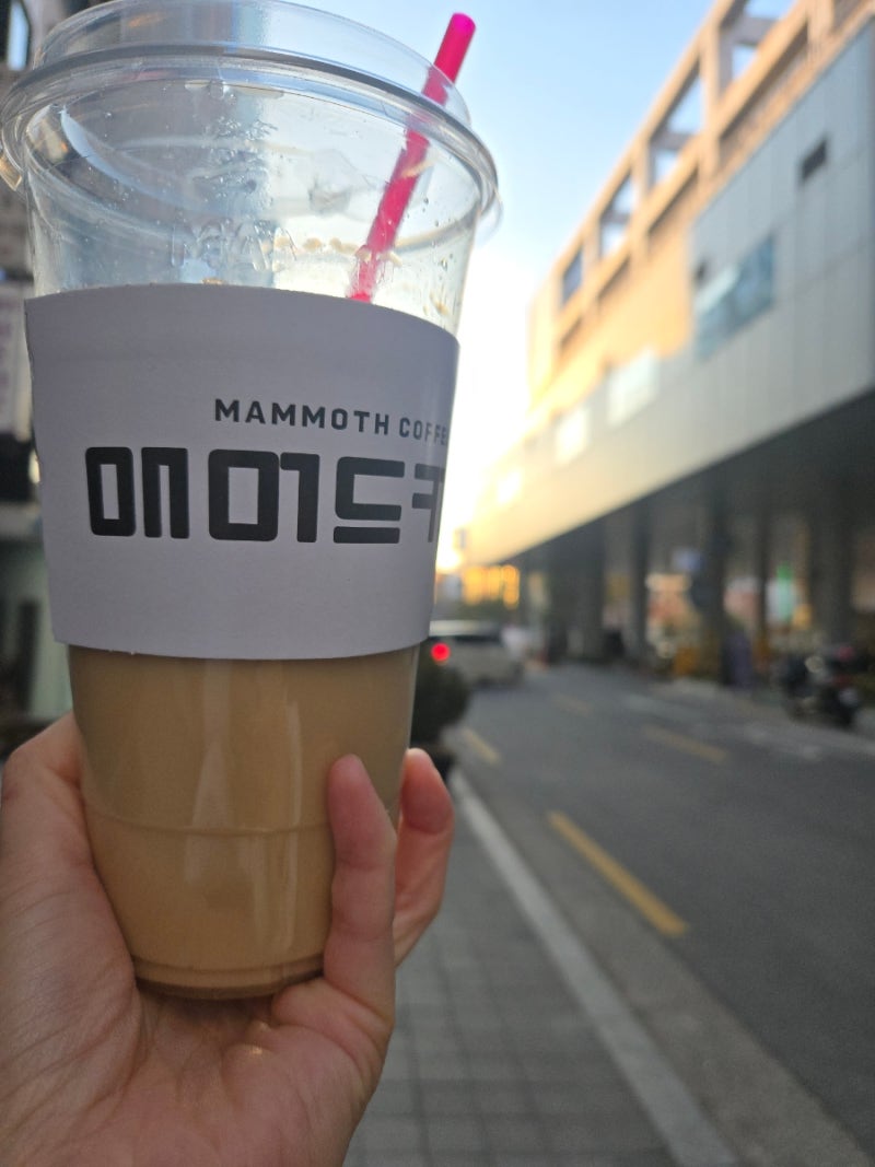 조이 일상 / 2월의 기록들 : 네이버 블로그