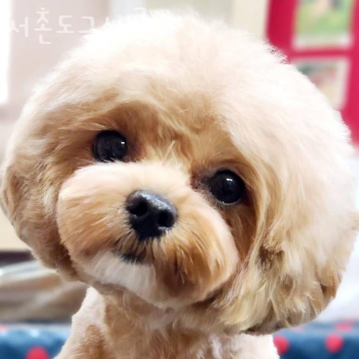 사진 2