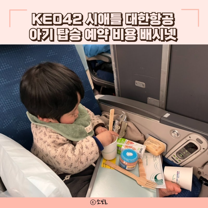 시애틀 대한항공 KE042 돌아기 비행기 탑승 예약 비용 배시넷 예약방법 수화물 유모차 카시트 ....