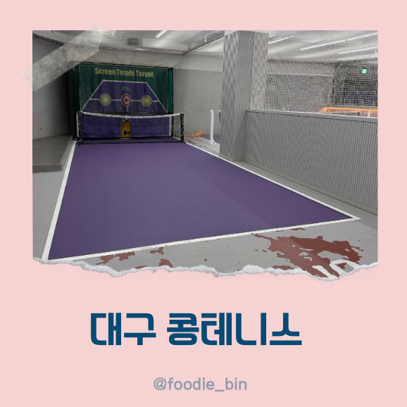 대구테니스레슨 선출 코치가 알려주는 콩테니스 대구테니스레슨 선출 코치가 알려주는 콩테니스