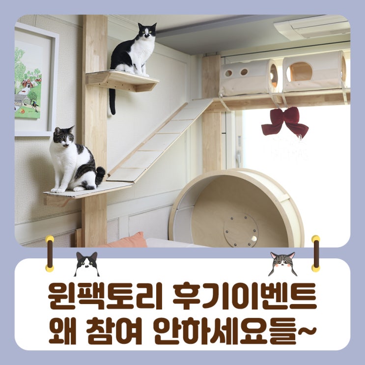  윈팩토리 후기 이벤트 참여 왜안해요!!!집사님들아!!
