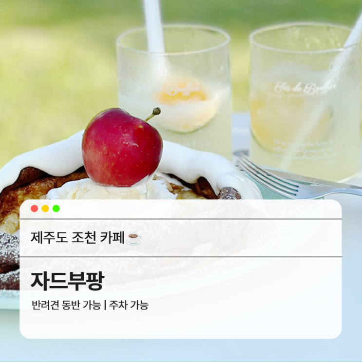  제주 조천 카페 예쁘고 팬케이크가 맛있는 자드부팡
