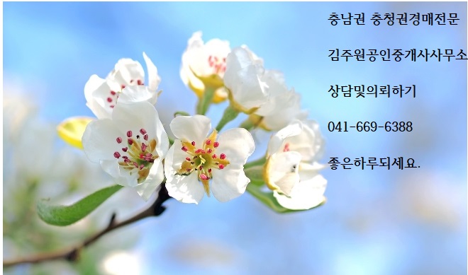  2025년2월25일 화요일 충남권 충청권경매전문 김주원공인중개사사무소에서 낙찰후에 경매사건기록 열람하기 순서 전해드립니다. 경매상담및의뢰 041 669 6388