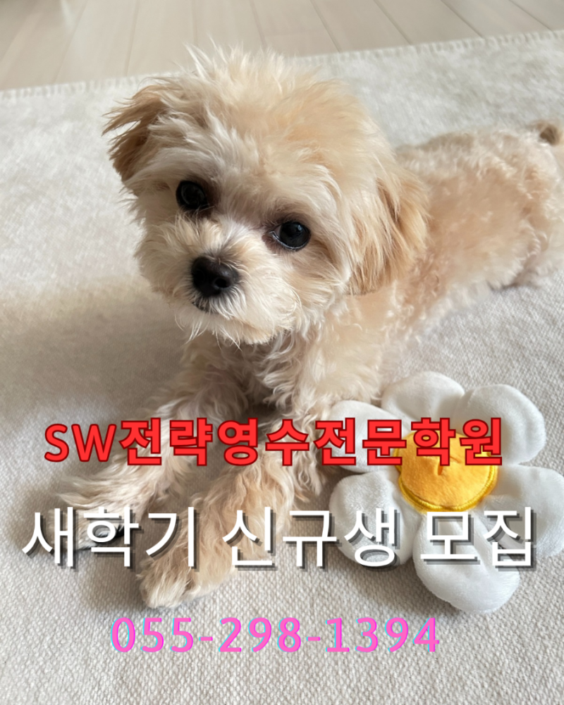 사진 3