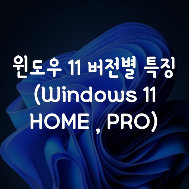  윈도우 11 홈, 프로 특징 및 가격 (Windows 11 HOME , PRO)