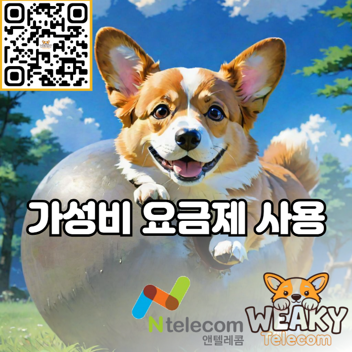  가성비 요금제 사용방법! 비대면으로 개통 시작부터 끝까지 직접 진행해 보자!
