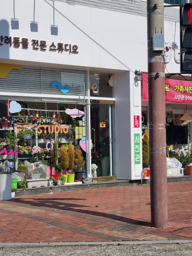 사진 4