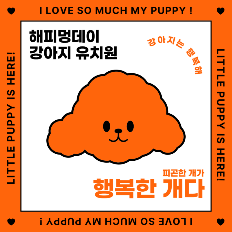 사진 10