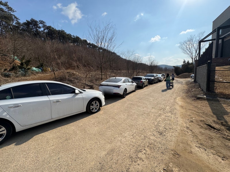 사진 5