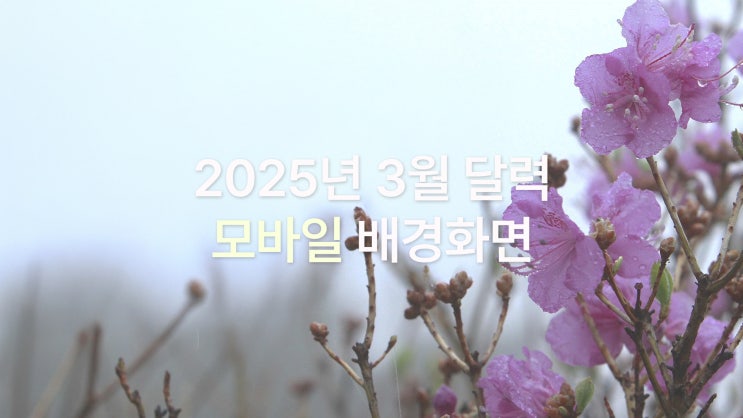  2025년 3월 달력 아이폰 16 pro max 봄 느낌 배경화면 6종