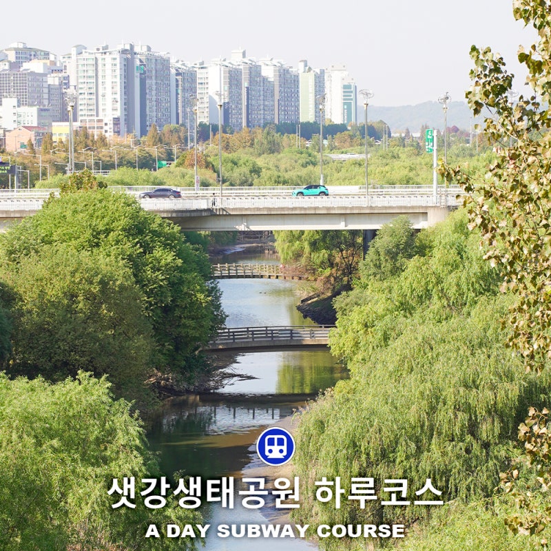 사진 4