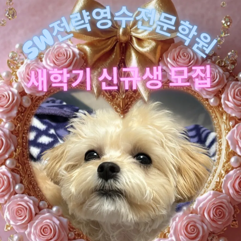 사진 4