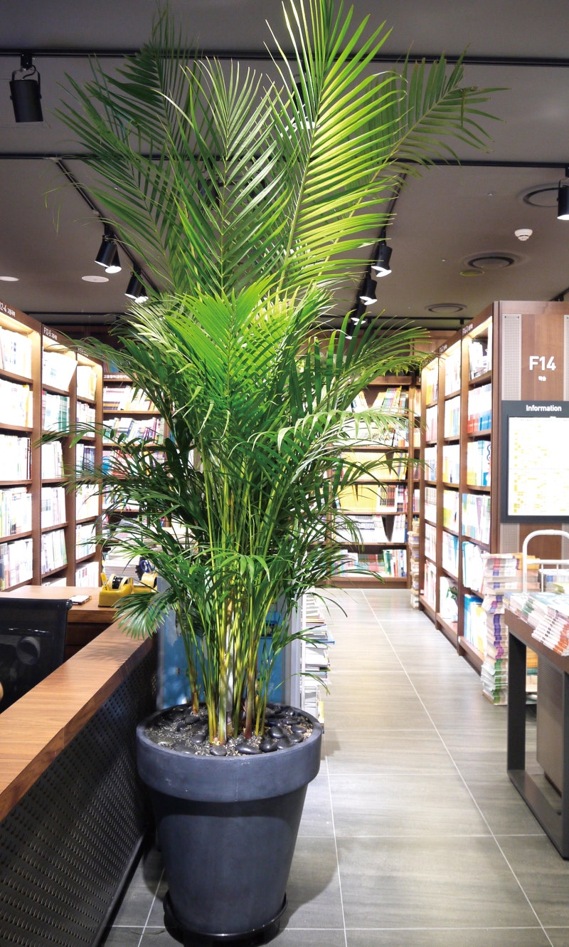 교보문고 영등포점 사인시스템 책 속 콘텐츠를 서점 곳곳에 숨겨두다 : 네이버 블로그