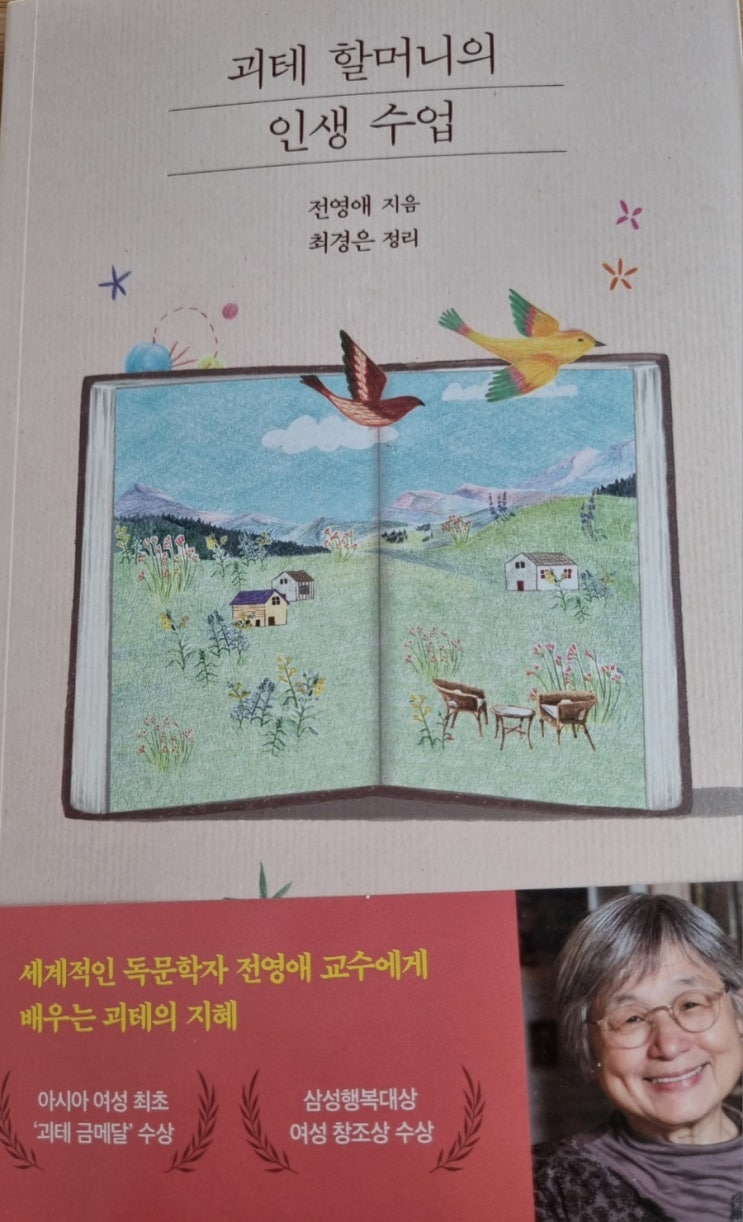  전영애 지음 괴테 할머니의 인생 수업