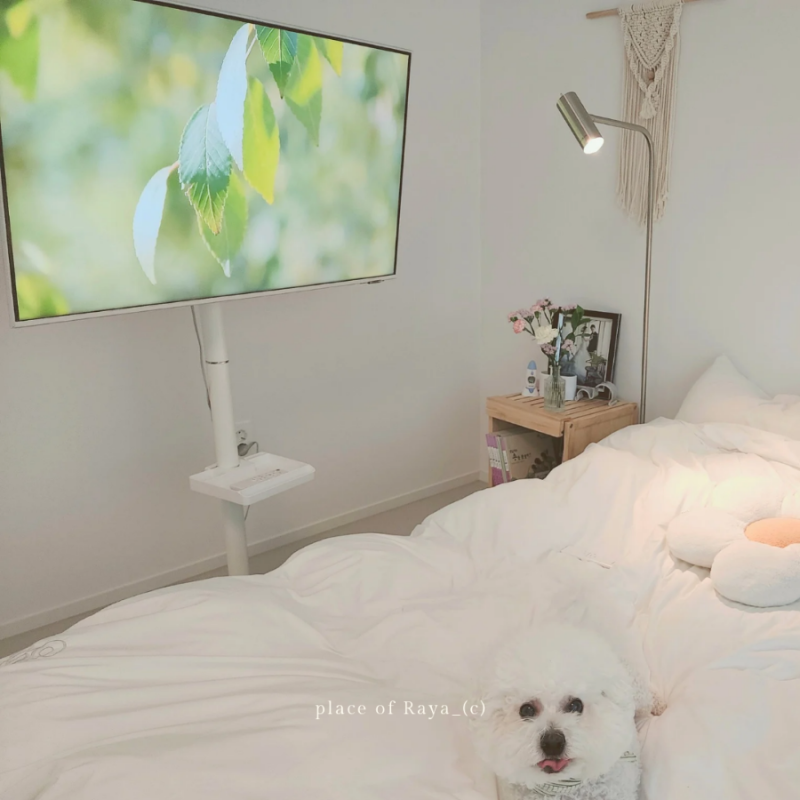 삼텐바이미 M7,43인치 스마트TV 스탠드거치대