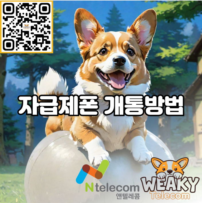  자급제폰 개통방법 N플랫폼에서는 5분이면 충분합니다!