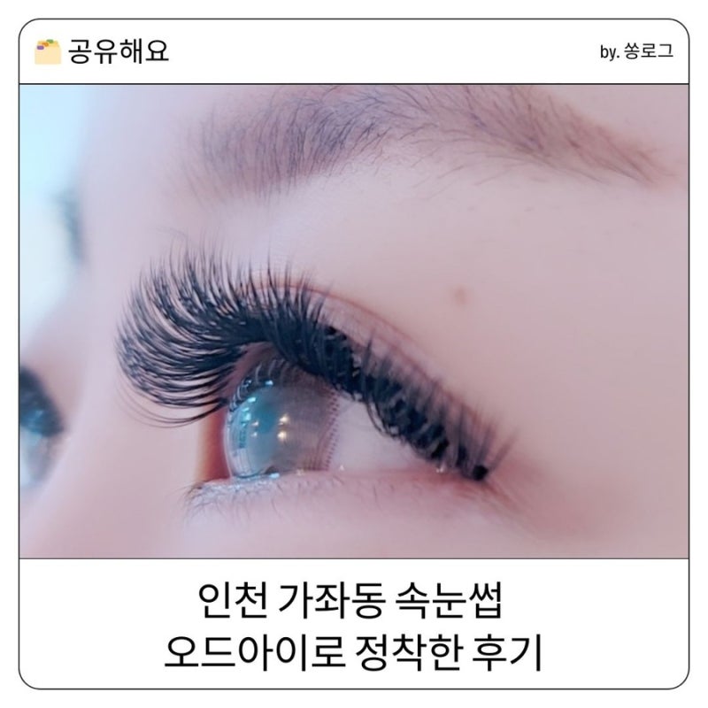인천 가좌동 속눈썹 오드아이로 정착한 후기