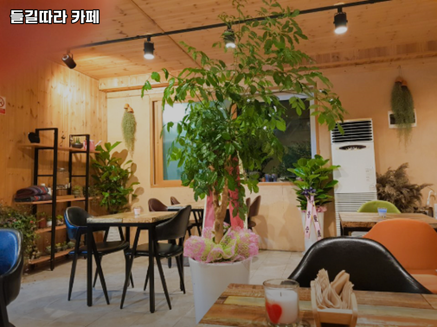 들길따라 사진 4