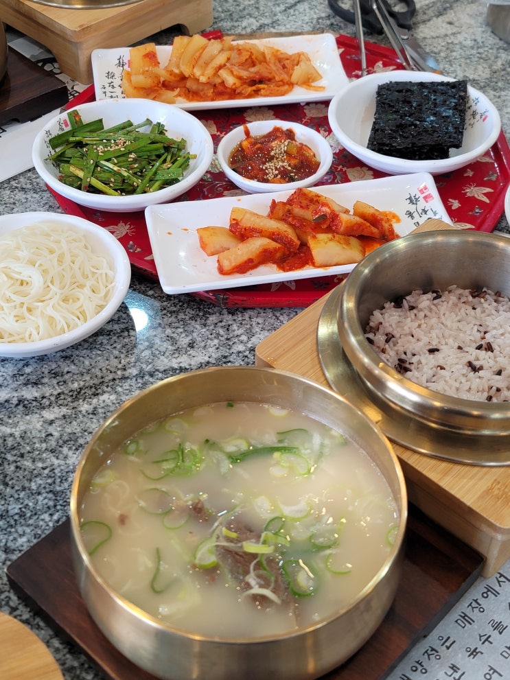  목포 국밥 점심 맛집 대양정 사골곰탕 꼬리곰탕