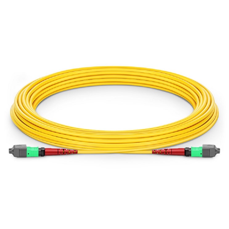  MTP 케이블, 24 Fibers, Single Mode (OS2)
