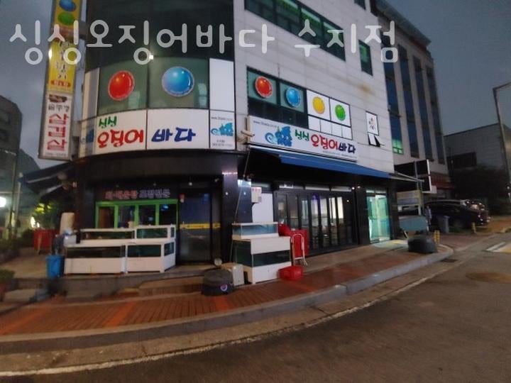 싱싱오징어바다 수지점 사진 6